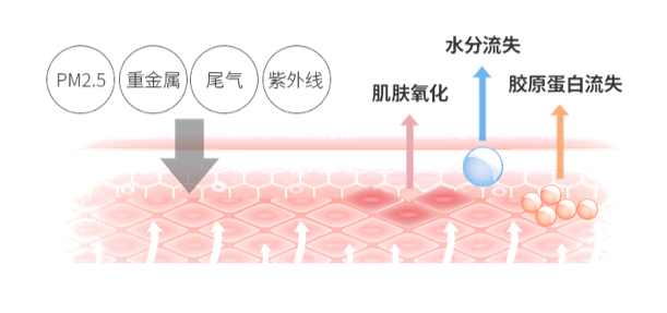 ΢�ňDƬ_20220711121137