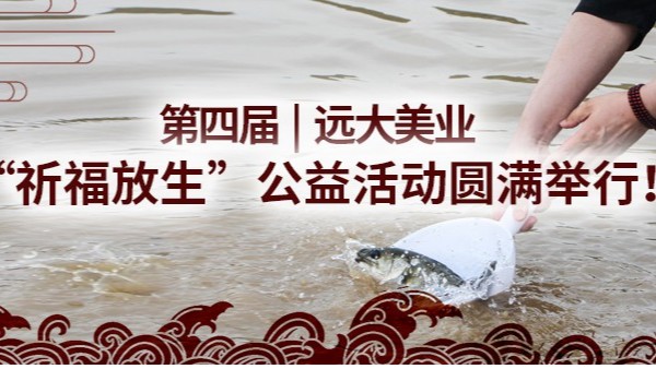 ���Č�|3118��피��F���I(y��)�����������������ӈA�M�e�У�