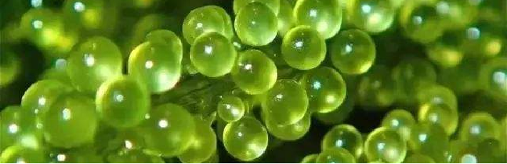 ΢�ňDƬ_20220713134526