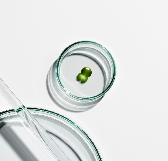 ΢�ňDƬ_20220713134531